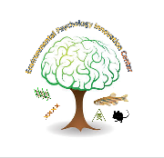 University of Miami Logo